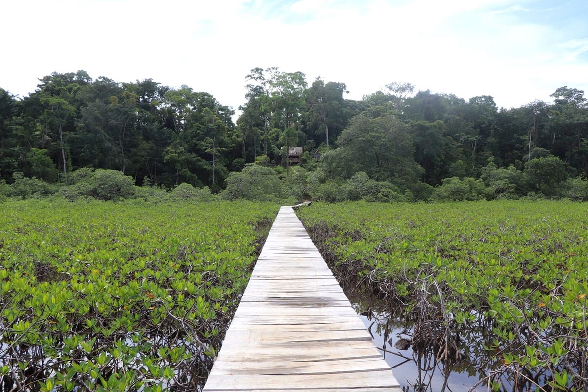 Bocas del Toro